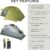 Nemo Dragonfly 2P - Ultralight