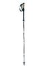 Trekking Pole